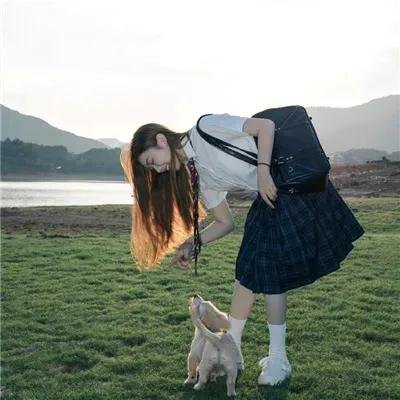 美国来的莫里斯