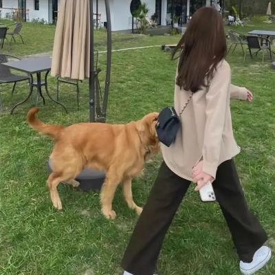 快乐的大脚2